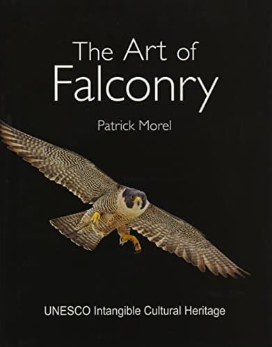 The Art of Falconry