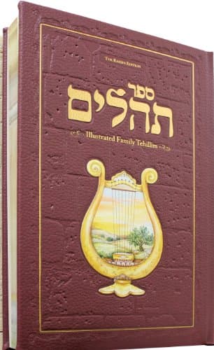 Family Tehillim: The Raksin Edition (Hebrew with English overview) (Hebrew Edition)