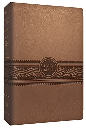 MEV Personal Size Large Print (Tan): Modern English Version (MEV)