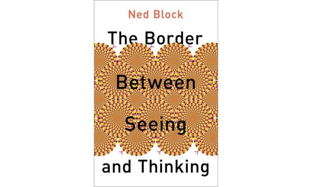 The Border Between Seeing and Thinking