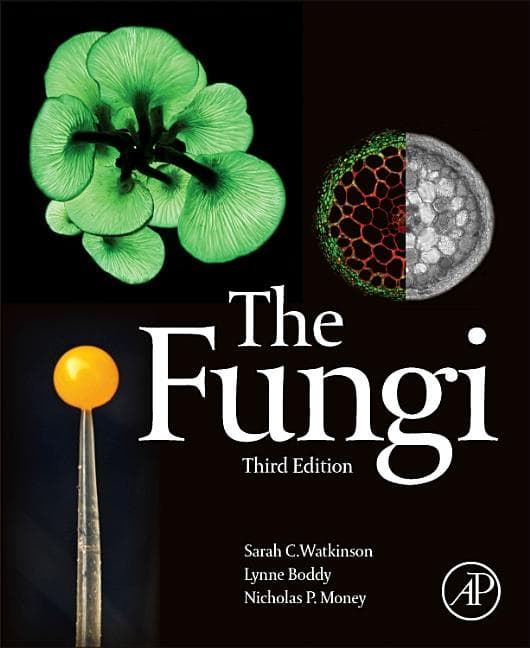 The Fungi (Revised)