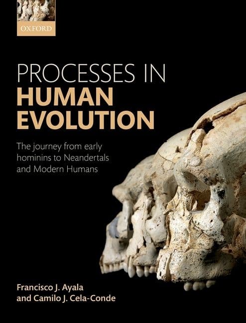 Processes in Human Evolution: The Journey from Early Hominins to Neanderthals and Modern Humans