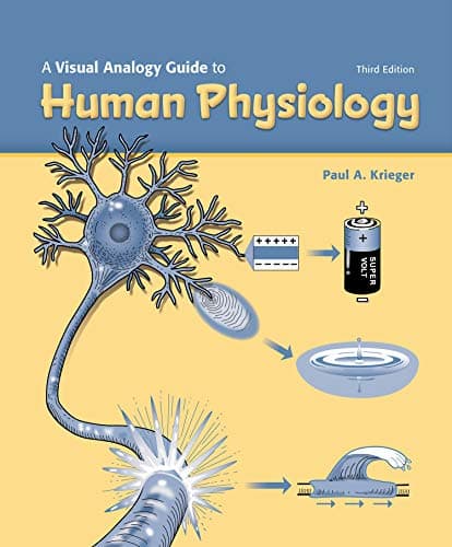 A Visual Analogy Guide to Human Physiology