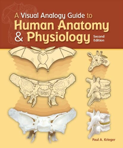 A Visual Analogy Guide to Human Anatomy and Physiology
