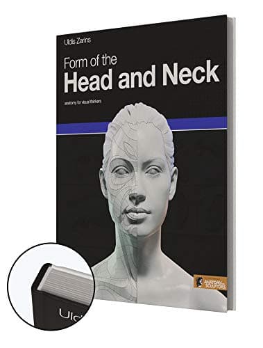Form of the Head and Neck
