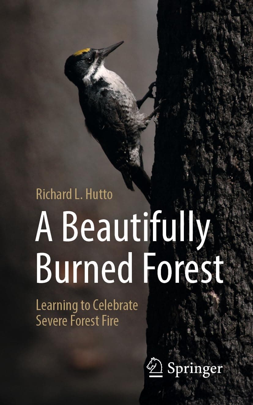 A Beautifully Burned Forest: Learning to Celebrate Severe Forest Fire