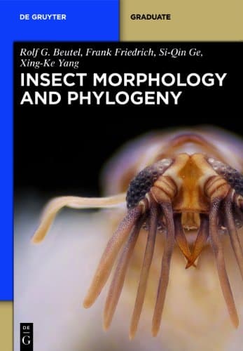 Insect  Morphology and Phylogeny (de Gruyter Textbook)