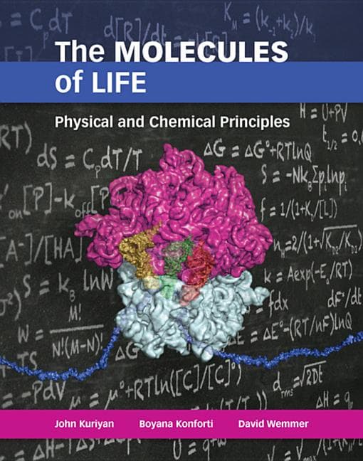 The Molecules of Life