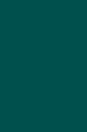 Understanding Peace and Conflict Through Social Identity Theory: Contemporary Global Perspectives (2016)