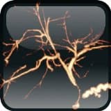 Mayo Clinic Body MRI Case Review (Mayo Clinic Scientific Press)