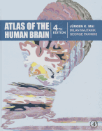Atlas of the Human Brain