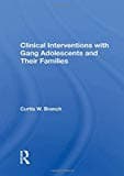 Clinical Interventions with Gang Adolescents and Their Families