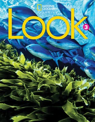Look 3 with the Spark Platform (Bre)