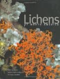 Lichens of North America