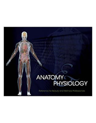 Bundle: Milady Standard Cosmetology, 13th + Milady Standard Updos, Spiral Bound + Student Reference for Anatomy & Physiology, Spiral Bound Version, 2