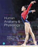Human Anatomy & Physiology Plus Mastering A&p with Pearson Etext -- Access Card Package [With eBook]