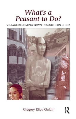 What's a Peasant to Do? Village Becoming Town in Southern China