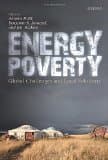 Energy Poverty: Global Challenges and Local Solutions