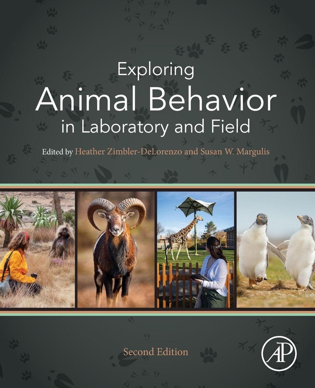 Exploring Animal Behavior in Laboratory and Field
