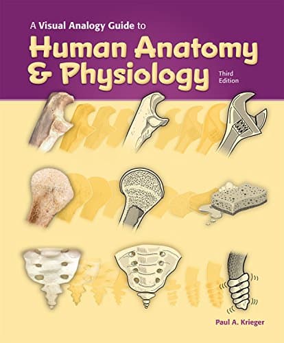 A Visual Analogy Guide to Human Anatomy & Physiology, 3e