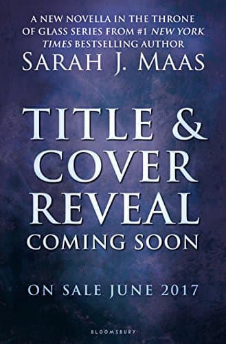 Untitled Novella #1 (Throne of Glass)