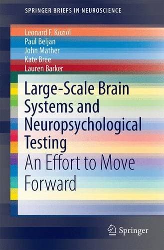 Large-Scale Brain Systems and Neuropsychological Testing: An Effort to Move Forward (SpringerBriefs in Neuroscience)