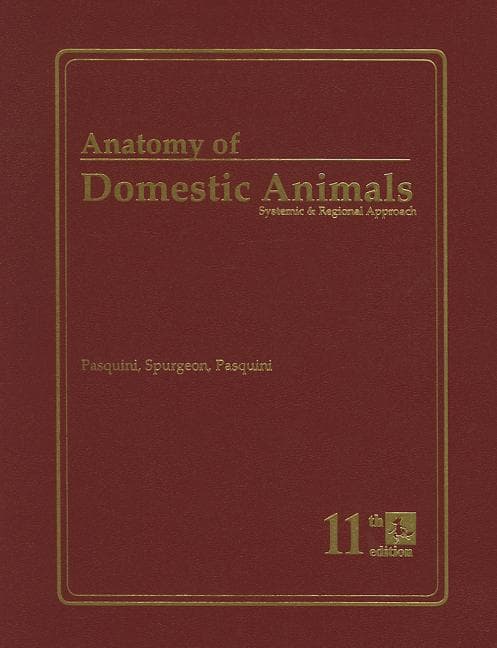 Anatomy of Domestic Animals: Systemic and Regional Approach
