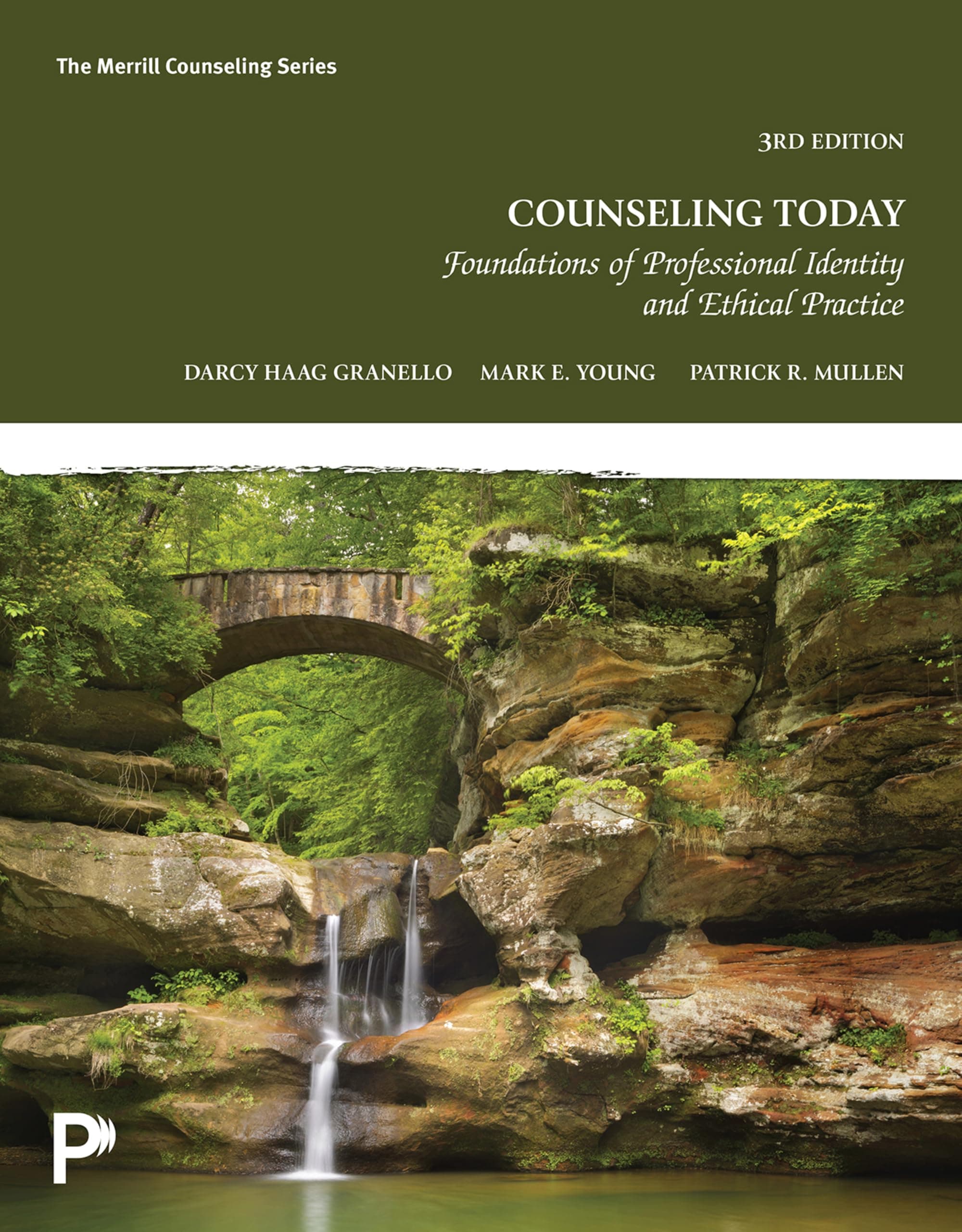 Counseling Today: Foundations of Professional Identity and Ethical Practice