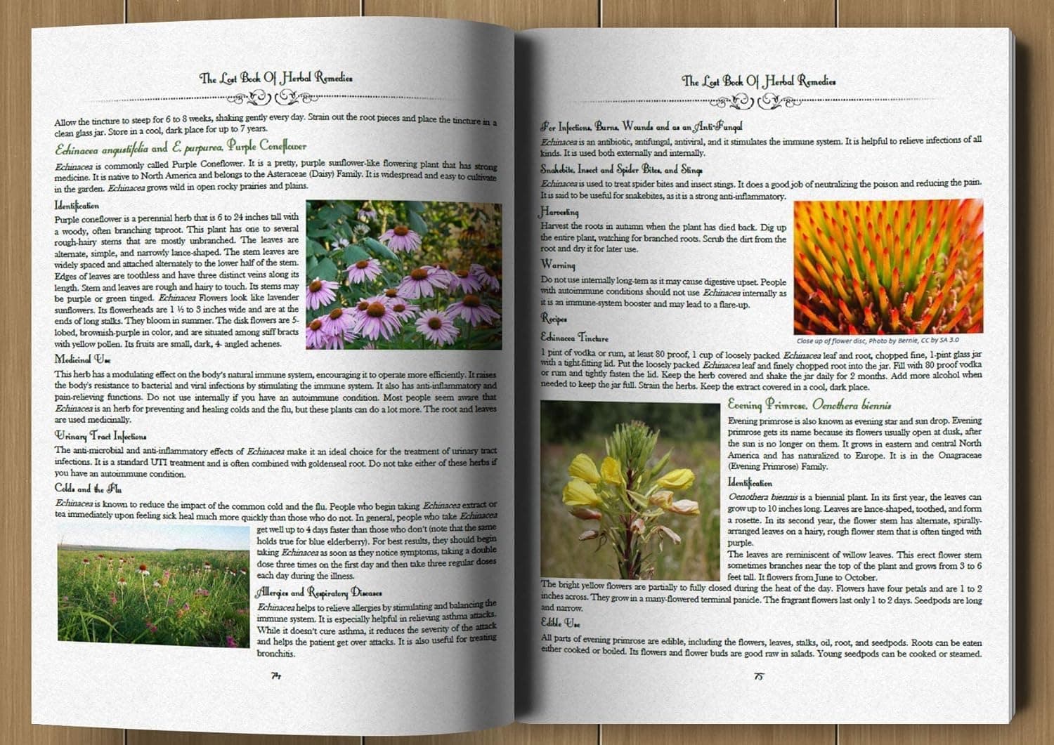 The Lost Book of Herbal Remedies: The Healing Power of Plant Medicine