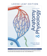 Anatomy & Physiology