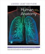 Human Anatomy
